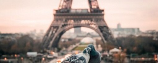 Онлайн курс Любовь и отношения – Ирина Белозерская