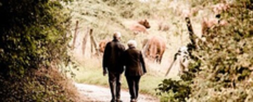 Онлайн курс Альфа-секреты взаимной любви на всю жизнь и крепкой семьи – Ирина Белозерская