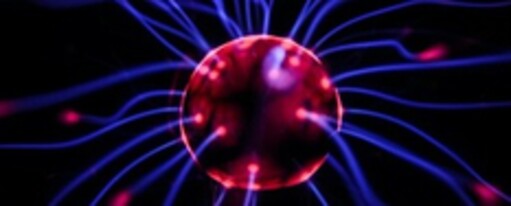 Онлайн курс Половая система – Егор Миронов