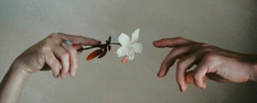 Онлайн курс Верните гармонию и любовь в свою семью всего за 1 день – Анна Камаллая Хефорс